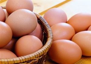 Yumurta Üretimi Arttı!